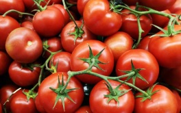 Специалисты назвали самый подешевевший в мае продукт в России