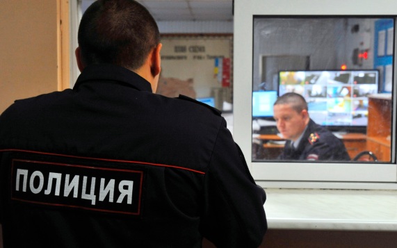 В России предложили создать "культурный отряд" полиции