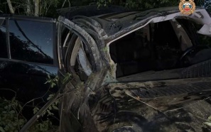 В Ярославской области BMW вылетел с дороги, двое человек погибли и двое ранены