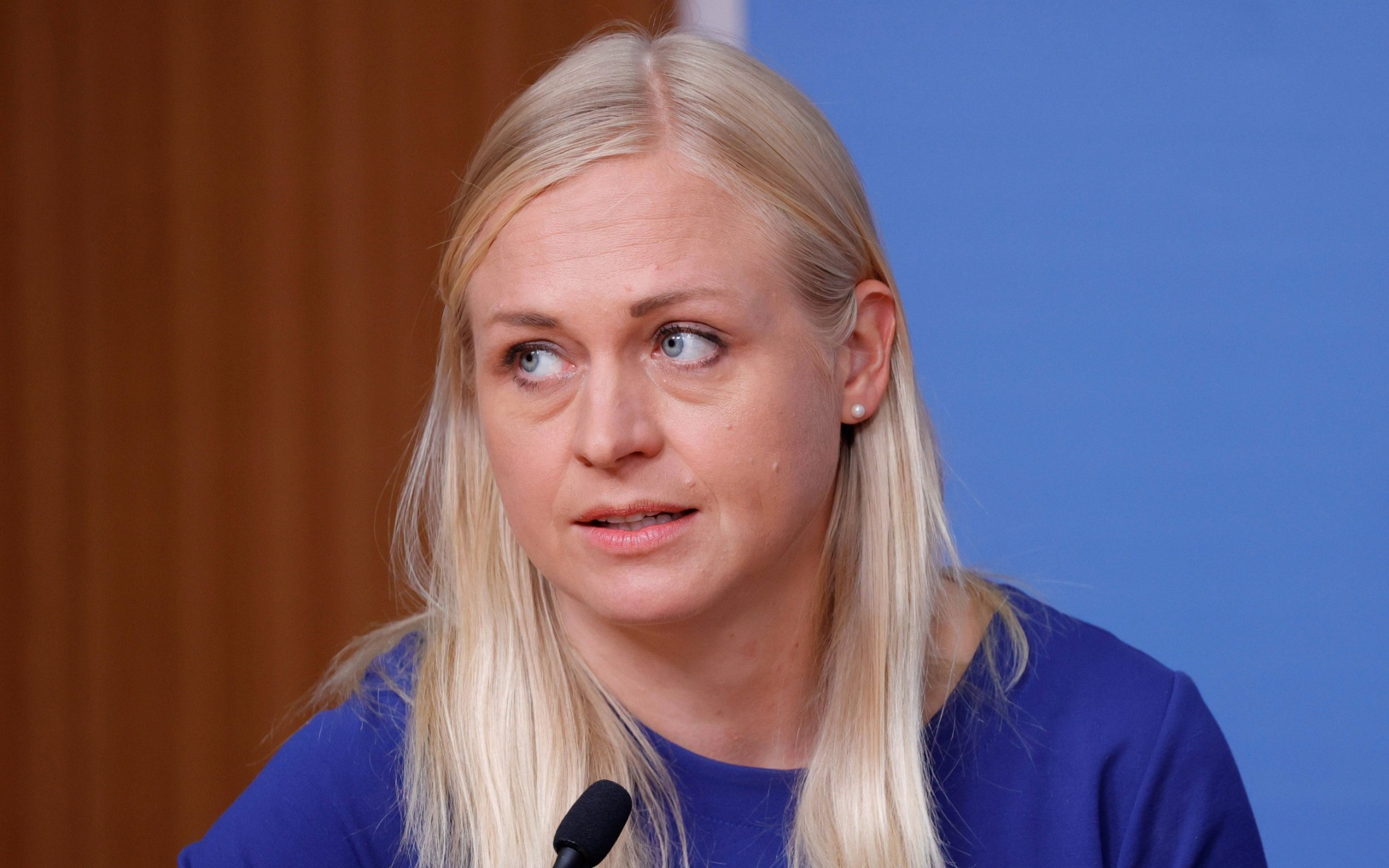 Финляндия и Швеция хотят ужесточить выдачу виз россиянам