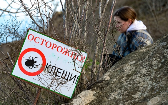 Клещи могут обнаруживать жертву на расстоянии до 10 м
