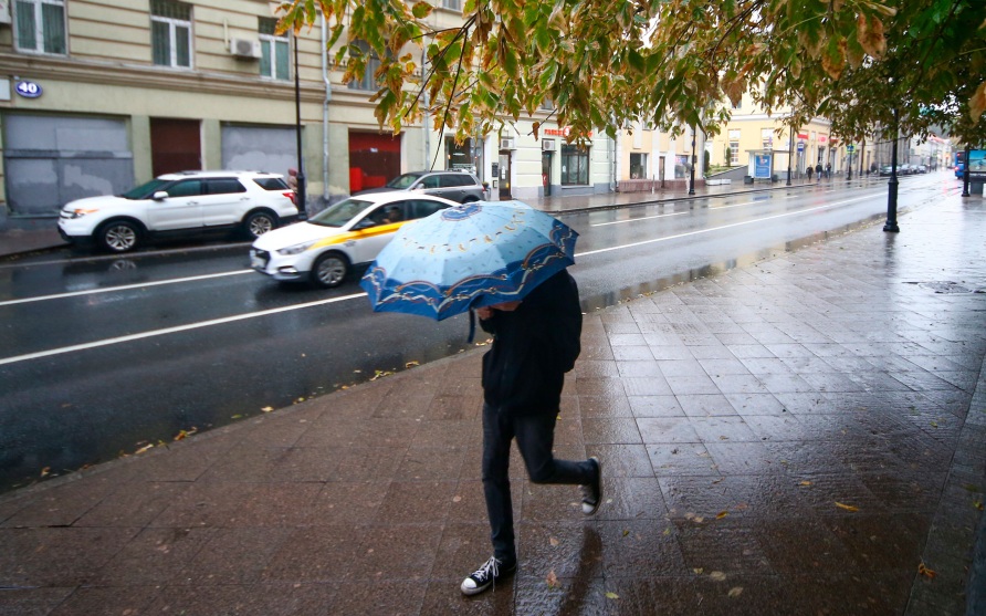 Дожди сохранятся в Московском регионе почти до конца недели