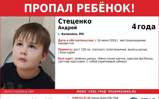 В подмосковной Балашихе пропал 4-летний мальчик