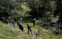 В подмосковной Балашихе пропал 4-летний мальчик