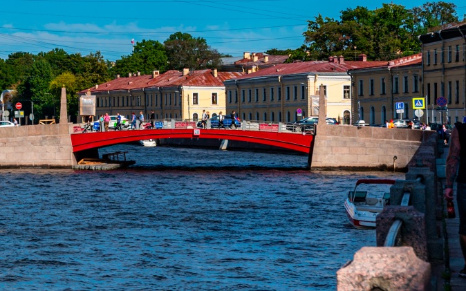 Голова в пакете, которую выловили в реке Мойка в Петербурге, оказалась кошачьей