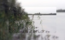 В Коми продолжают поиски унесенной течением реки Сысолы девушки