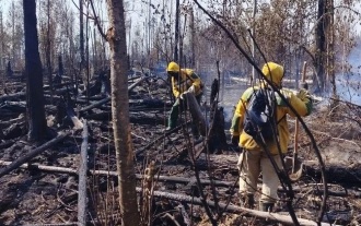 Лесные пожары в Красноярском крае тушат более 1,3 тысячи человек