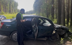 В Свердловской области 15-летний водитель врезался на легковушке в дерево