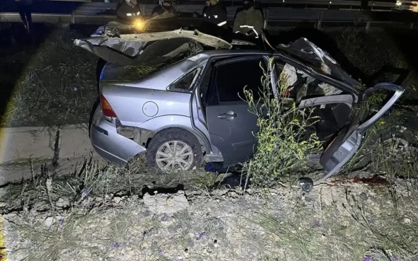 В Оренбургской области два человека погибли и двое пострадали в ДТП с лошадью