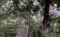 Две 10-летние девочки выпали из окна 2-го этажа в Тверской области