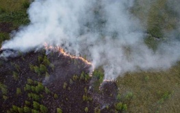 Лесные пожары в Хабаровском крае охватили более 1,3 тыс. га