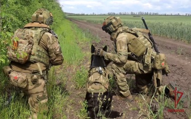 Более 1300 взрывоопасных предметов противника уничтожено в ЛНР за неделю