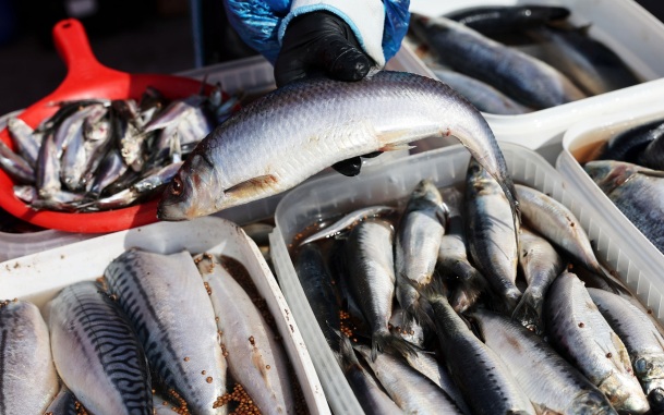 Россия приостановила поставки рыбной продукции со всех предприятий Армении