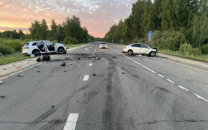 Смертельное ДТП с лосем в Костромской области находится на контроле прокуратуры