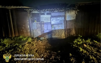 Прокуратура: 11-летнего мальчика в Приморье похитили за его поведение