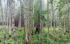 В Татарстане спасатели вернули домой потерявшуюся в лесу пенсионерку