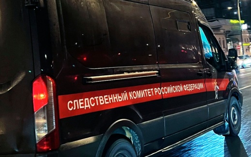 Бастрыкину доложат об убийстве рецидивистом девочки в Кузбассе