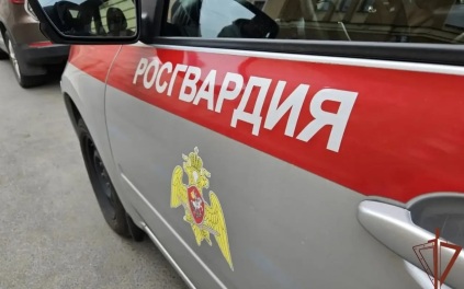 Росгвардейцы задержали водителя, протаранившего дом на Невском проспекте