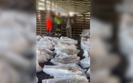 Полтонны кокаина обнаружила ФСБ в порту Санкт-Петербурга