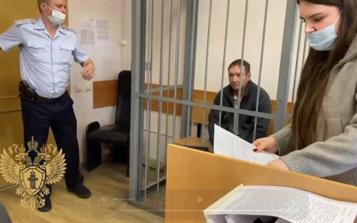 Предполагаемому убийце девочки в Ленобласти предъявили обвинение, он арестован