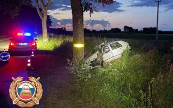 В Калининградской области легковушка врезалась в дерево, пострадал водитель