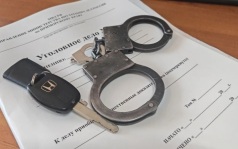 Полицейские в Приморье вернули похищенный автомобиль владельцу