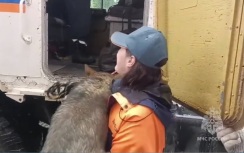 Хабаровские спасатели ищут ушедшего за ягодами пенсионера