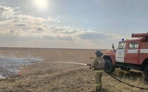 В Алтайском крае из-за жары введен режим повышенной готовности