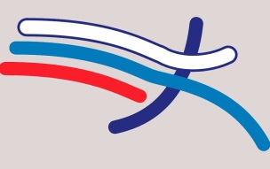 ВЛФА оспорила в спортивном арбитраже на продление отстранения от World Athletics