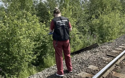 Задушившая пятилетнюю девочку мать из Ачинска заявила, что хотела отомстить мужу
