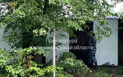 В Калининграде будут судить мать, убившую своего новорожденного ребенка