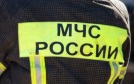 В Хабаровске дерево рухнуло на припаркованную машину