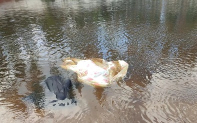 В Нижегородской области подросток кинулся на помощь тонущей женщине, погибли оба