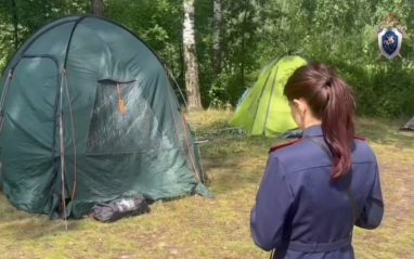 СК возбудил дело после гибели мальчика под упавшим деревом