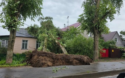 В Подмосковье 75 бригад восстанавливают электроснабжение после циклона