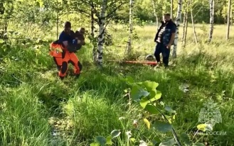 В Ленинградской области спасли мужчину с ребенком, застрявших в болоте