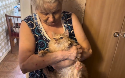 В подмосковном Солнечногорске нашли кота Тиму, потерявшегося после атаки БПЛА