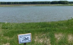 Мужчина утонул в озере в Алтайском крае