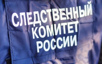 Причиной массового отравления на Ставрополье называется сальмонелла