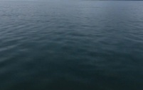 В Челябинской области девочка утонула во время купания в озере