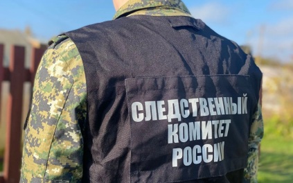 Жителя Свердловской области убило упавшим деревом, проводится проверка