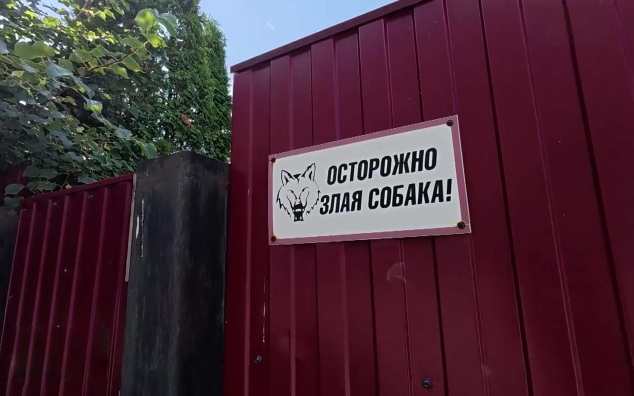 Житель Новосибирска отрицает, что натравил собаку на фельдшера скорой