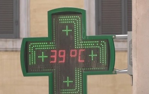 Аномальная жара в Европе нанесла аграриям убытки в 2,1 млрд евро