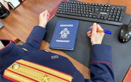 СК: в Приморском крае в 2026 году раскрыто 100% убийств