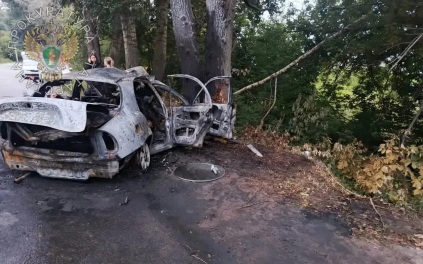 В Татарстане 6 человек погибли в ДТП