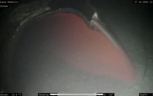 В ФРГ предположили, по чьему указанию совершена диверсия на "Северных потоках"