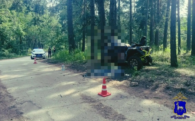 Квадроцикл въехал в дерево в Самарской области, двое погибли