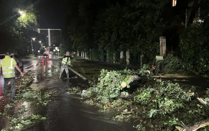 В Ростове-на-Дону выявлены 18 отключений высоковольтных линий