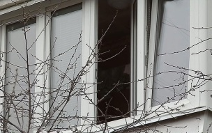 После падения ребенка с четвертого этажа в Москве начата проверка