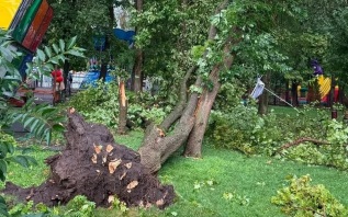 В Ростове-на-Дону 14 детских садов и 16 школ повреждены из-за непогоды